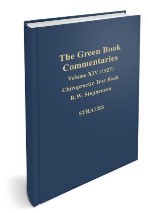 Strauss Commentary on the Green Books - Volume XIV
